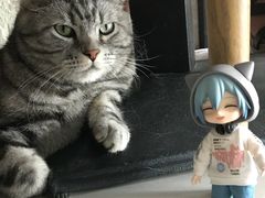 -平行世界·猫咖(首经贸店)