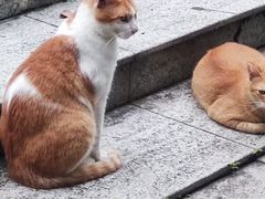 -南岗山公园