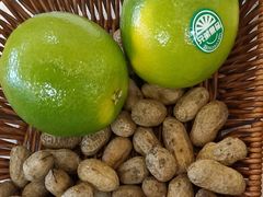 -津津菜馆(绝没分店)