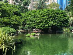 -九龙公园