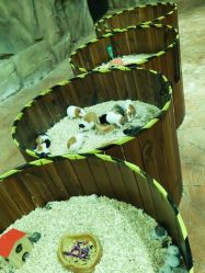 -宝燕乐园(闵行旗舰店)