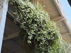 -广州市紫泥堂文化创意园景区