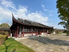 -上海海湾国家森林公园