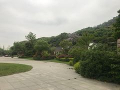 -桃花岛景观公园