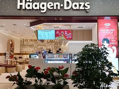 门面-哈根达斯(皇城恒隆广场店)