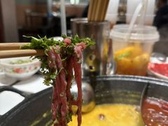 香菜牛肉丝-朱光玉火锅馆·太原旗舰(钟楼街店)
