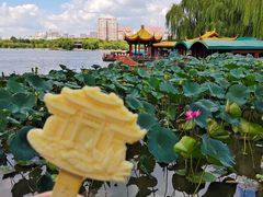 -济南大明湖景区
