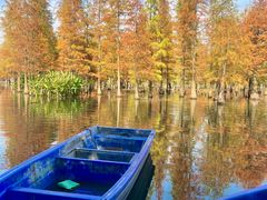 -白鹭湾湿地公园