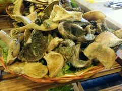 -易门野生菌府·菌海森林(月牙潭公园店)