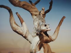 -陕西自然博物馆