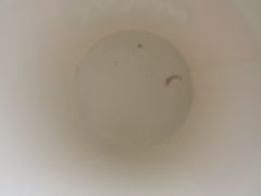 -赛百味SUBWAY(星摩尔店)