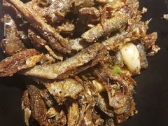 -巴人堂(女儿城店)