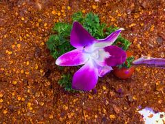 -热火朝天鲜切牛肉火锅(南强街巷店)