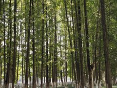 -范蠡湖公园