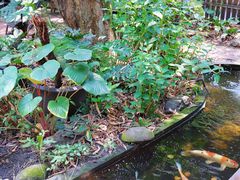 -Fern Forest Cafe