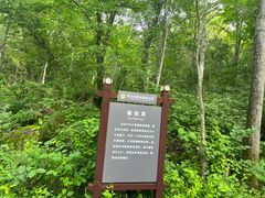 -茅兰沟国家森林公园