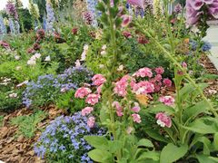 -深圳国际园林花卉博览园