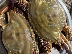 -77号渔船·蒸海鲜青岛菜(积米崖店)