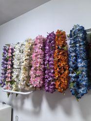 -呼拉汇舞蹈生活馆 Hawaii Hula&Tahiti Dance Studio