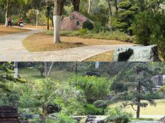-东莞植物园