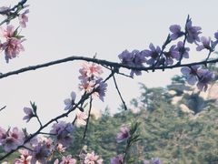 -崂山仰口游览区