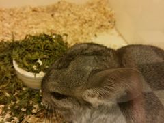 -龙猫仔乐园(惠福东路店)