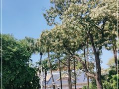 -广州中山纪念堂