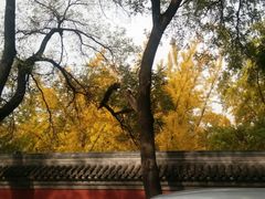 -北京国子监胡同