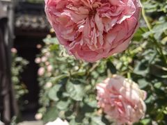 -南京市民俗博物馆(甘熙故居)
