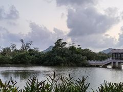 -沙美村