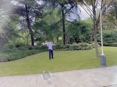 -新虹桥中心花园