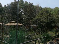 -谷咖啡·鲜花绿植花园餐厅