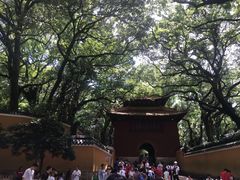 -普陀山风景名胜区-法雨禅寺