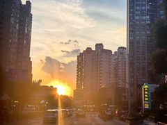 -顶巧鸡汤馄饨(虹口总店)