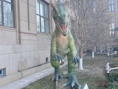 -国家自然博物馆