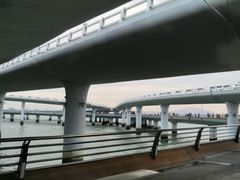 -演武大桥观景平台