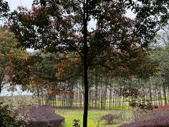 -福建鲤鱼洲酒店