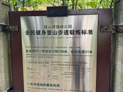 景点-铁山坪森林公园