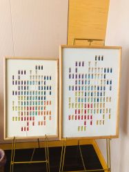 -彩虹之门健康管理