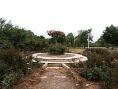 -泰山花样年华景区