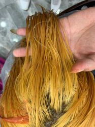 -YDO SALON