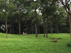 -白云山索道-售票处