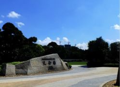 -奇乐儿momoplanet儿童乐园(卓悦汇店)