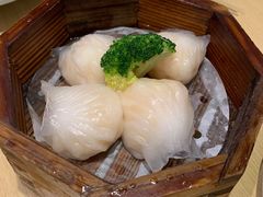 -茶小点(丽悦新天店)