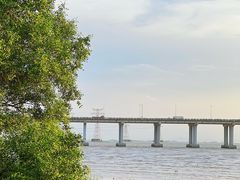 -宝安西湾红树林湿地公园