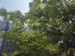 -漫·汤泉