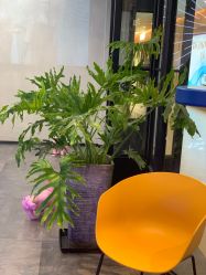 -SEBASTIAN塞巴斯汀