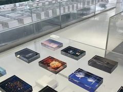 -罗红摄影艺术馆