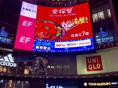 -广州都市观光巴士(粤陶巴)