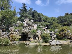 -红梅公园